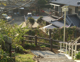 焼津市浜当目津波避難路